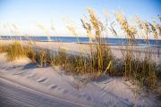 In 2015, Galveston rebuilt a section of beach. Credit: National Oceanic and Atmospheric Administration