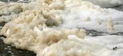 Sea foam at Ocean Beach in San Francisco. Credit: National Oceanic and Atmospheric Administration